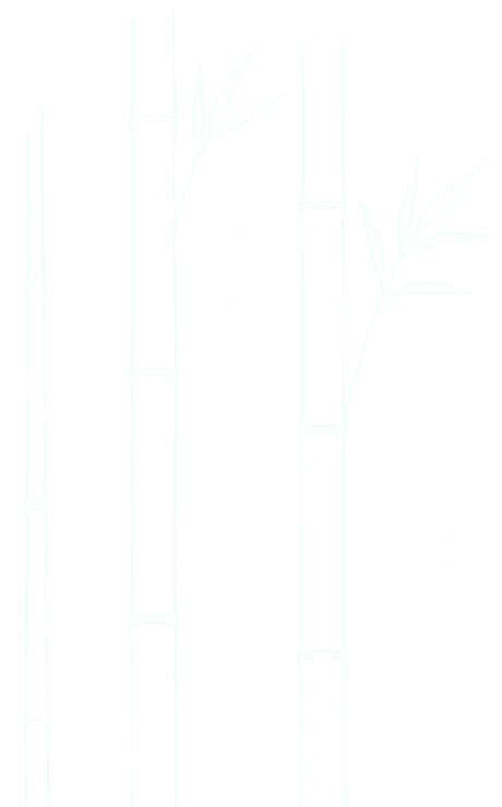 a stand of bamboo